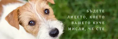Някой с доминираща позиция green modern-simple