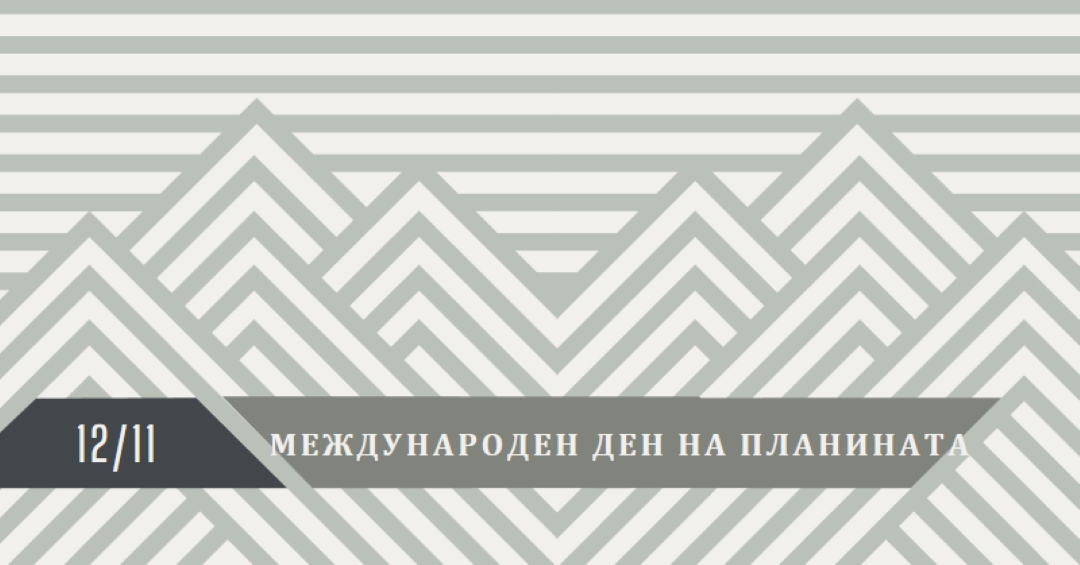 Международен ден на планината gray modern-geometric-&-linear