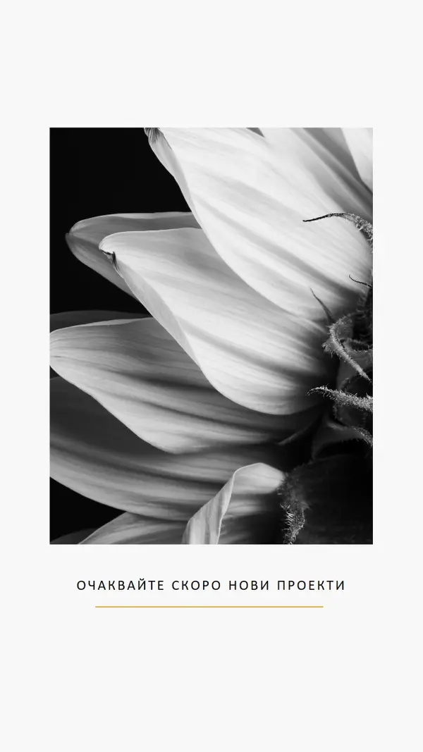 Ясни венчелистчета white modern-simple