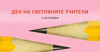 Учители по функции pink modern-bold