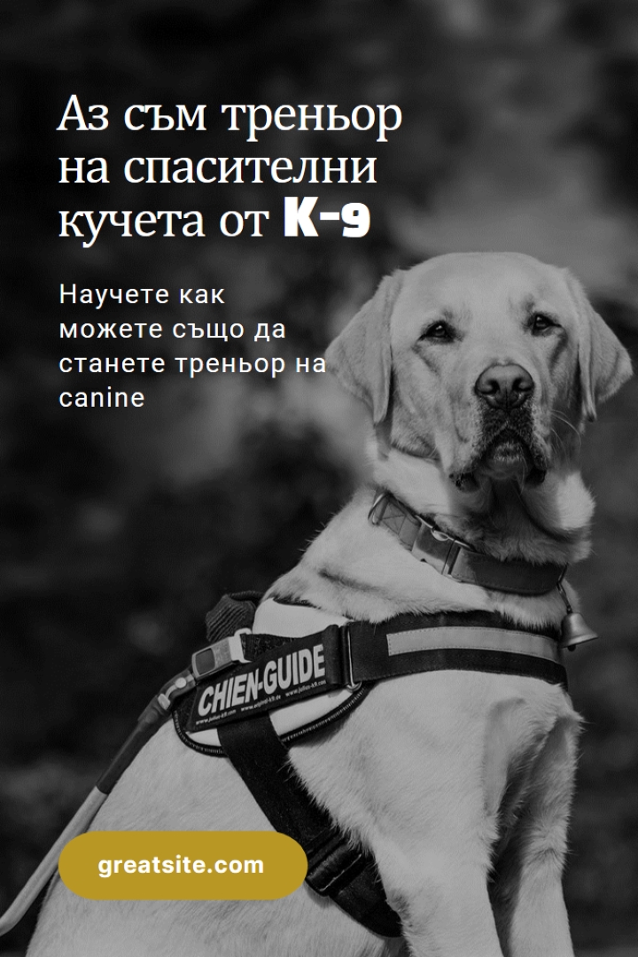 Аз съм треньор на спасителни кучета black modern-simple