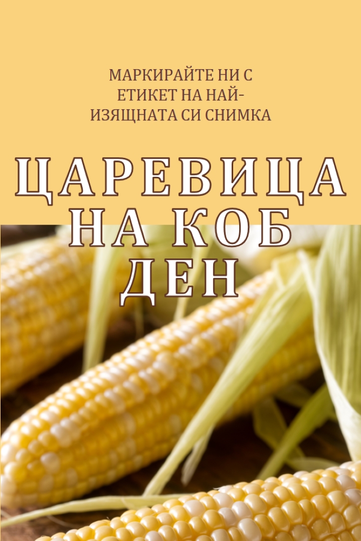 Отборът от коб yellow modern-simple