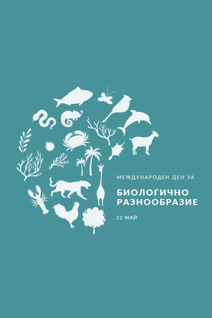 Празнувайте Деня на световното биоразнообразие blue modern-simple