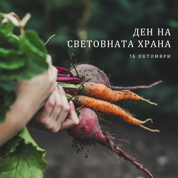 Празнуващ Световен ден на храните green modern-simple