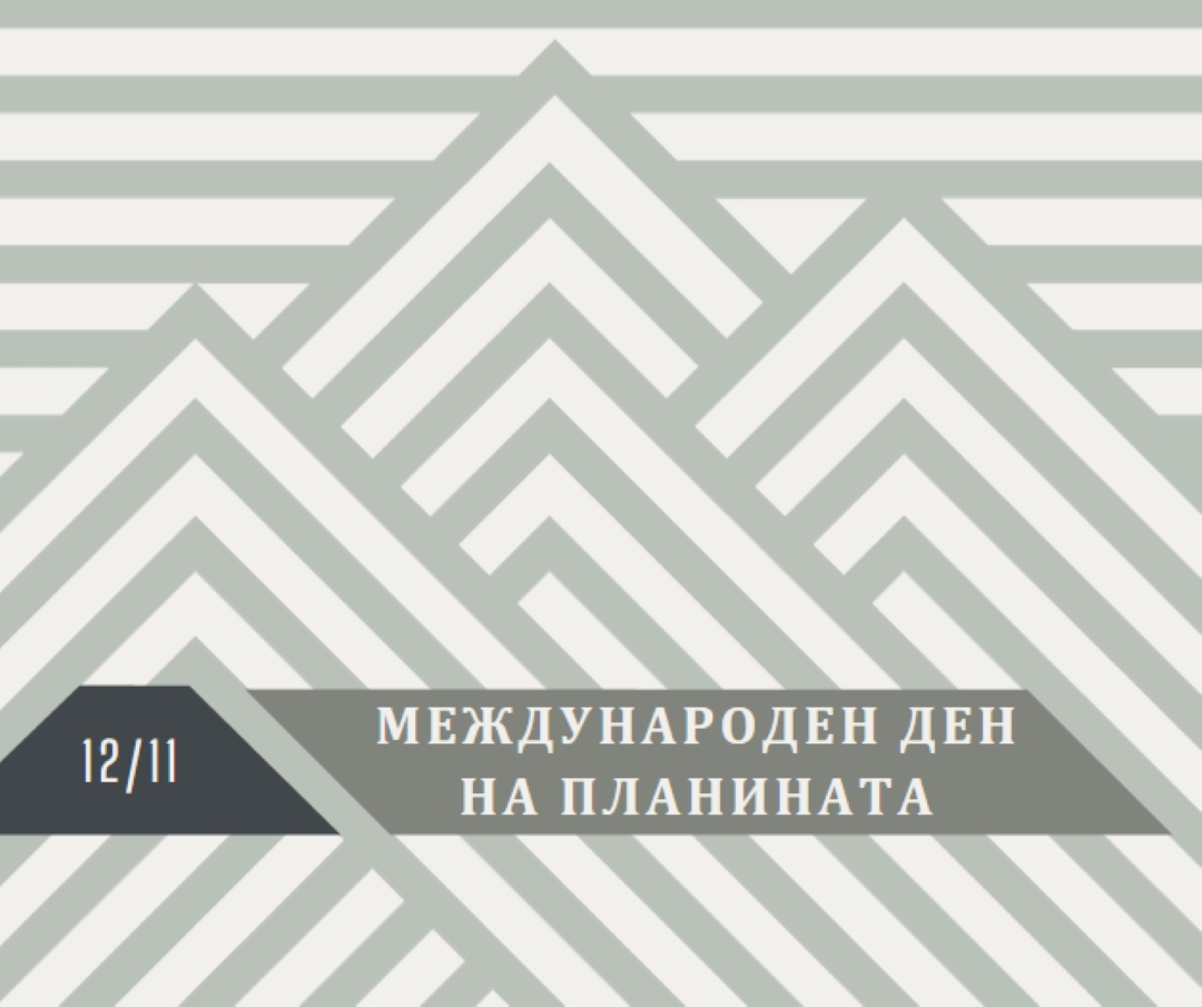 Международен ден на планината gray modern-geometric-&-linear
