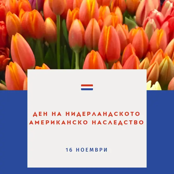 Празнуване на холандски корени orange modern-simple