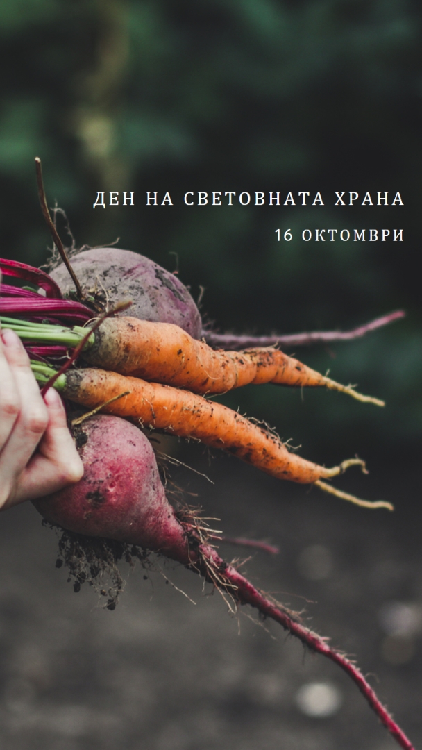 Празнуващ Световен ден на храните green modern-simple