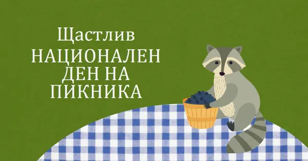 Честит национален пикник green whimsical-color-block