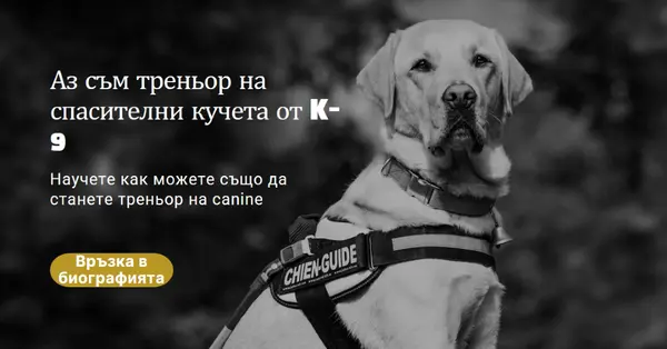 Аз съм треньор на спасителни кучета black modern-simple