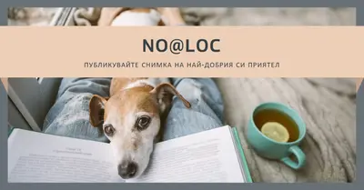 Най-добрият ти приятел gray modern-simple