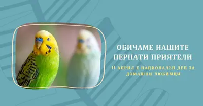 Перо заедно blue organic-simple