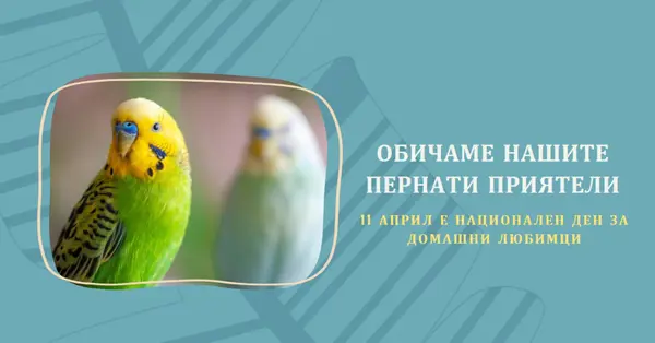 Перо заедно blue organic-simple