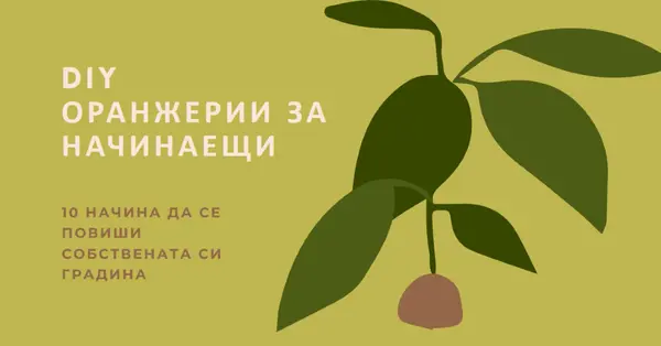 Вдигнете собствена градина green modern-color-block