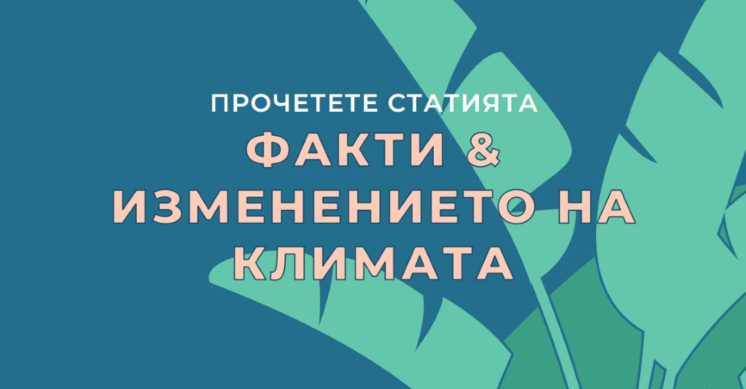 Факти за изменението на климата blue whimsical-color-block