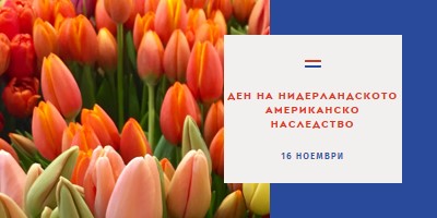 Празнуване на холандски корени orange modern-simple