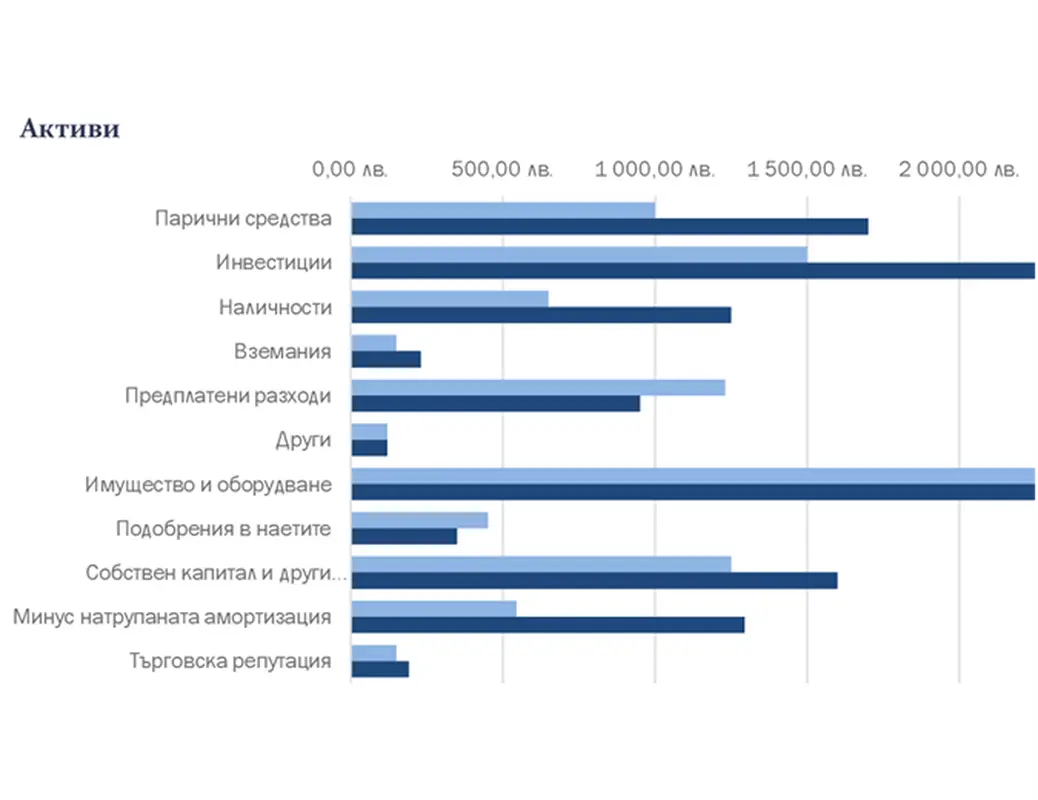Балансов отчет в синьо