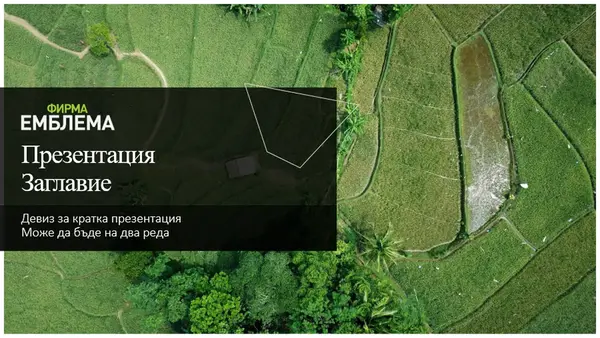Зелена кратка презентация