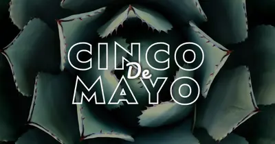 Oslavte Cinco de Mayo green modern-bold