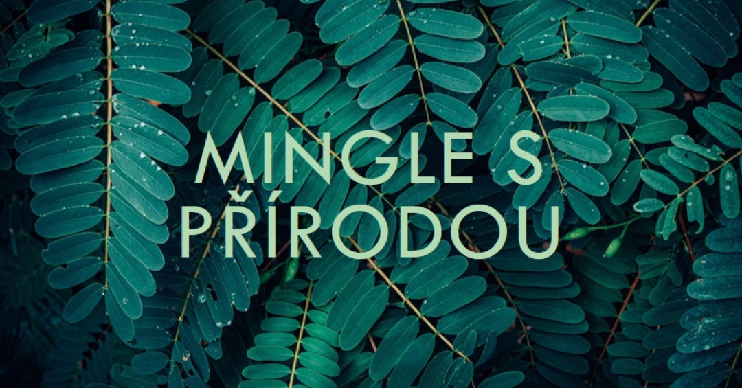 Mingle s přírodou green modern-simple