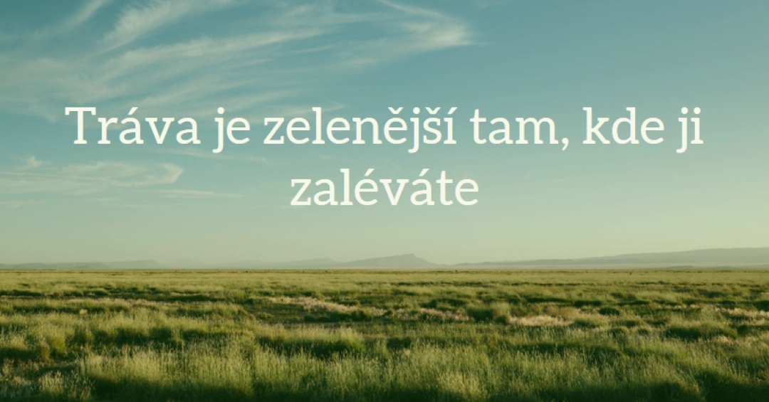 Lepší příroda blue modern-simple