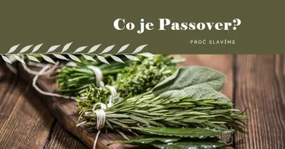 Šťastný svátek Pascha green modern-simple