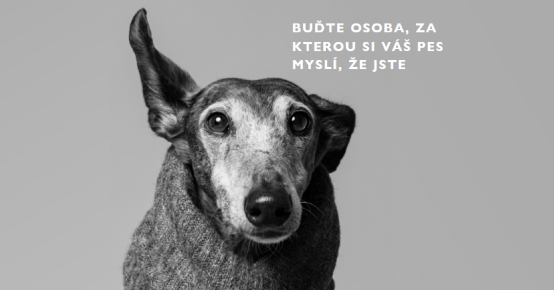Dětská láska gray modern-simple