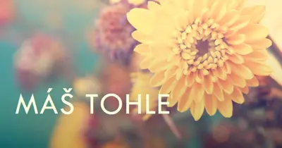 Okvětní lístky s úspěchem yellow modern-simple
