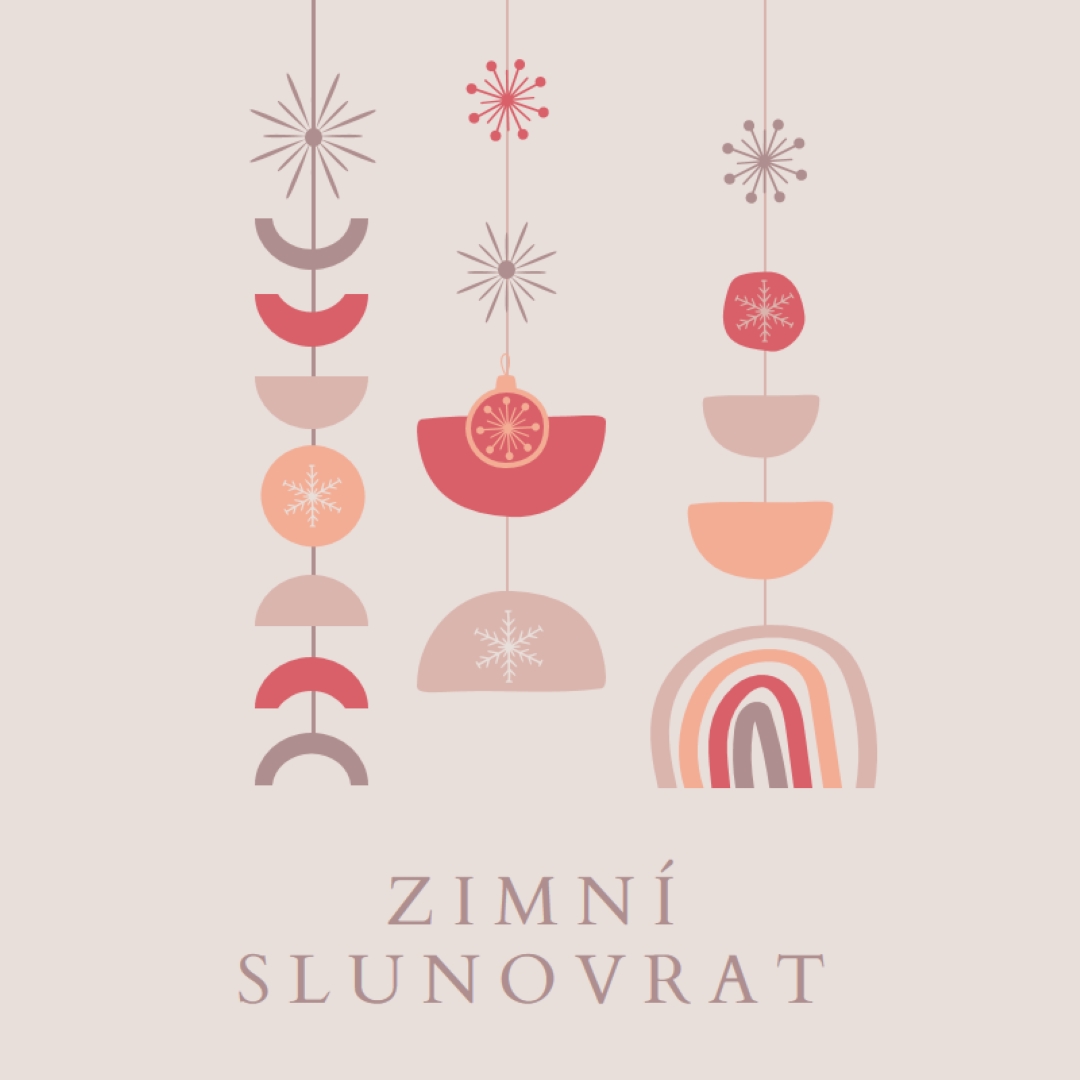 Krásný zimní slunovrat gray organic-boho