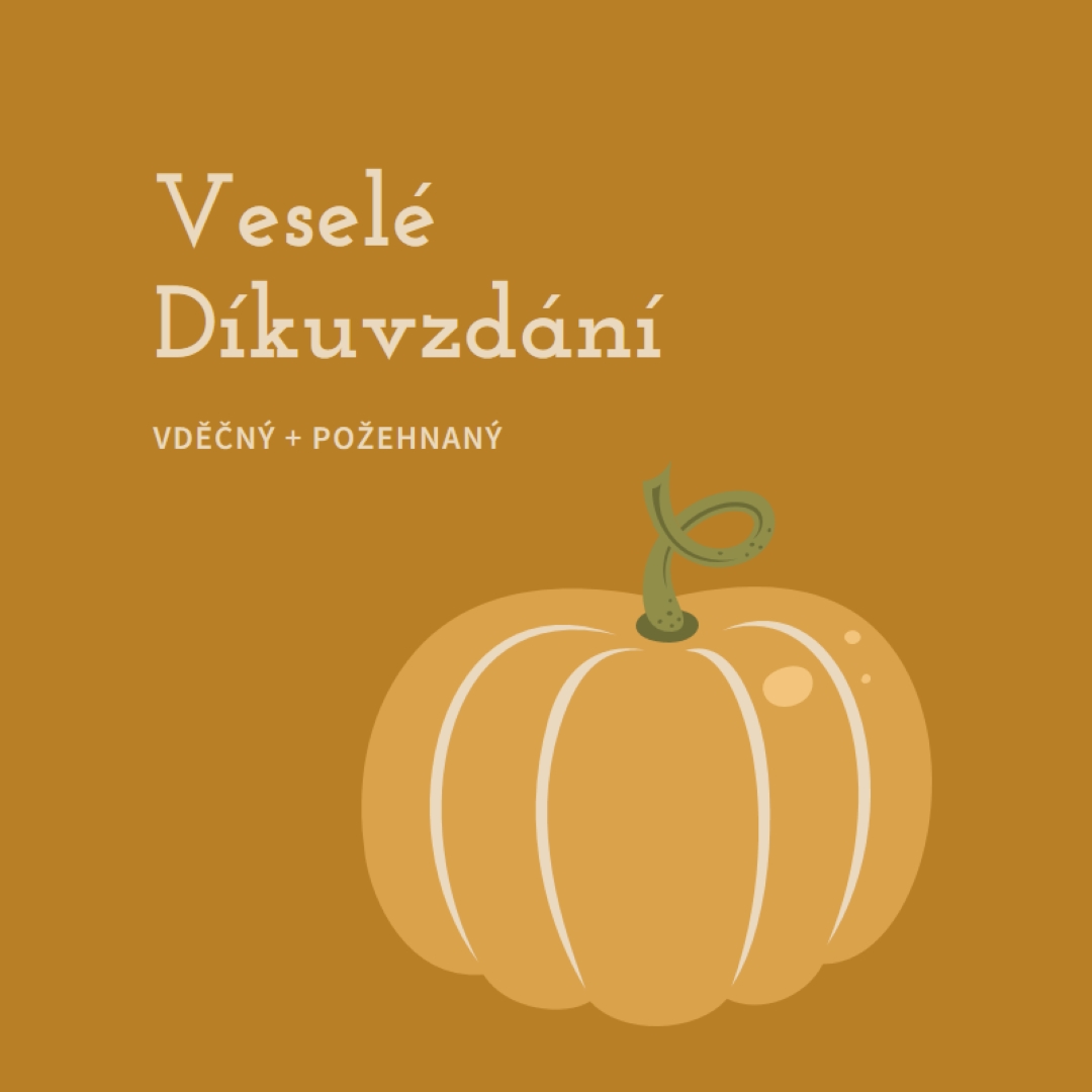 Vděčný a požehnaný brown whimsical-line