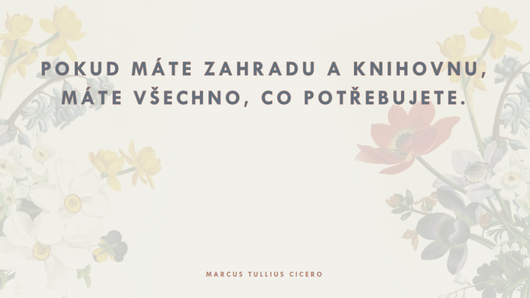 Flóra gray vintage-botanical