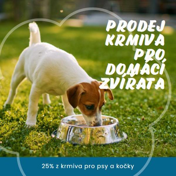 Prodej krmiva pro domácí zvířata green organic-simple