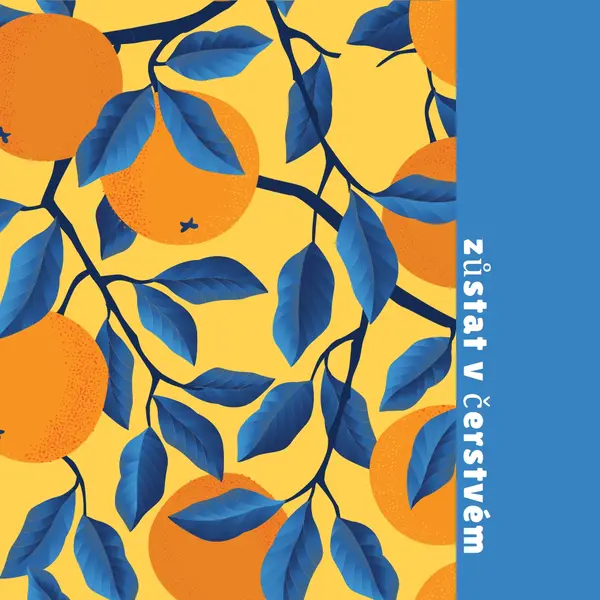 Zůstaňte v obraze blue organic-simple