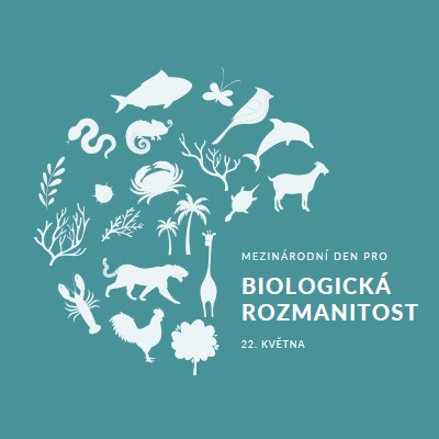 Oslavte Světový den biologické rozmanitosti blue modern-simple