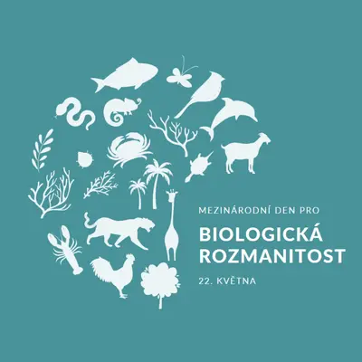 Oslavte Světový den biologické rozmanitosti blue modern-simple
