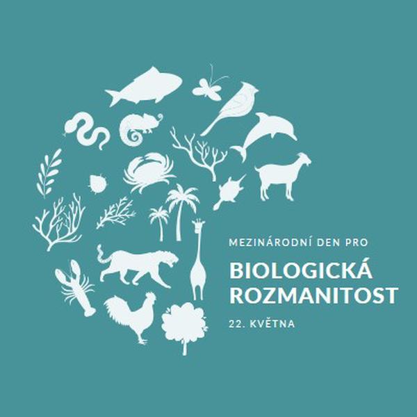 Oslavte Světový den biologické rozmanitosti blue modern-simple