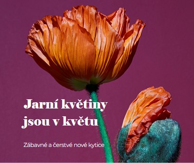 Čerstvé květiny purple modern-simple