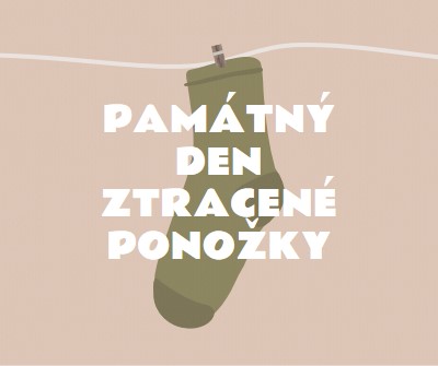 Památný den ztracené ponožky brown whimsical-color-block