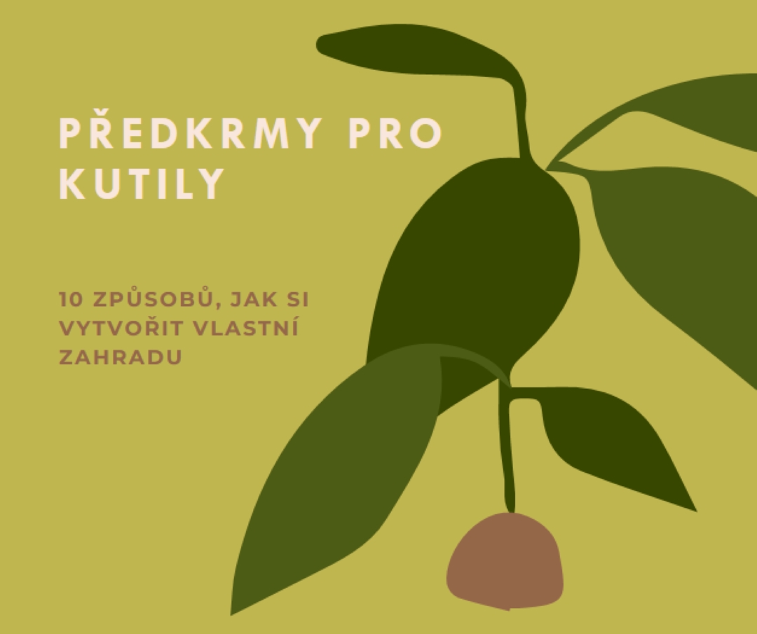 Vytvořte si vlastní zahradu green modern-color-block