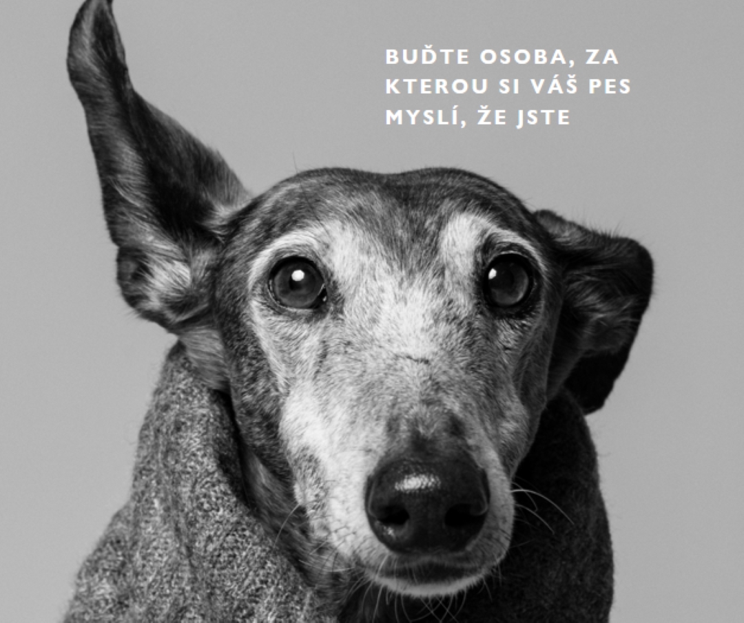 Dětská láska gray modern-simple