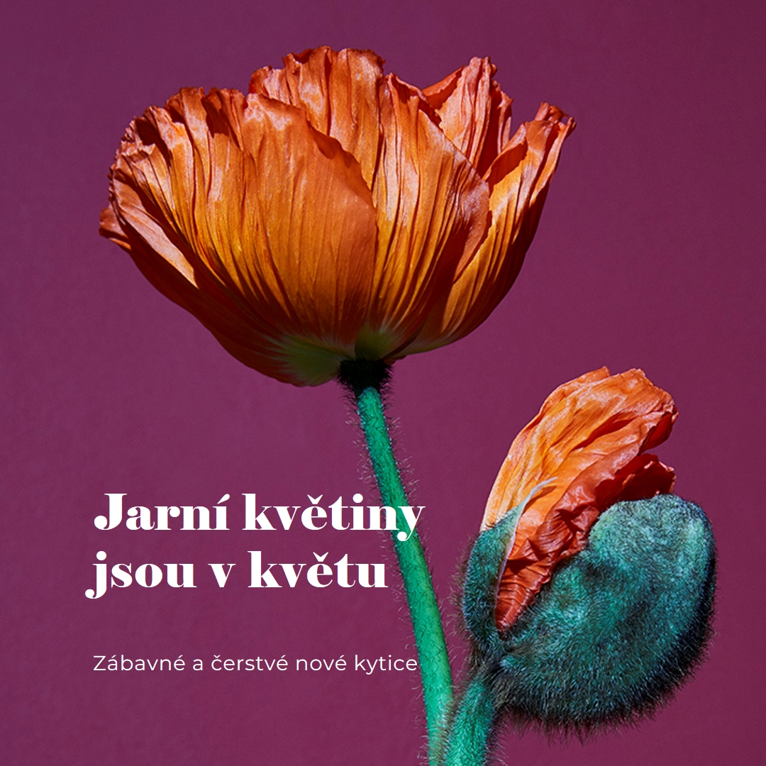 Čerstvé květiny purple modern-simple