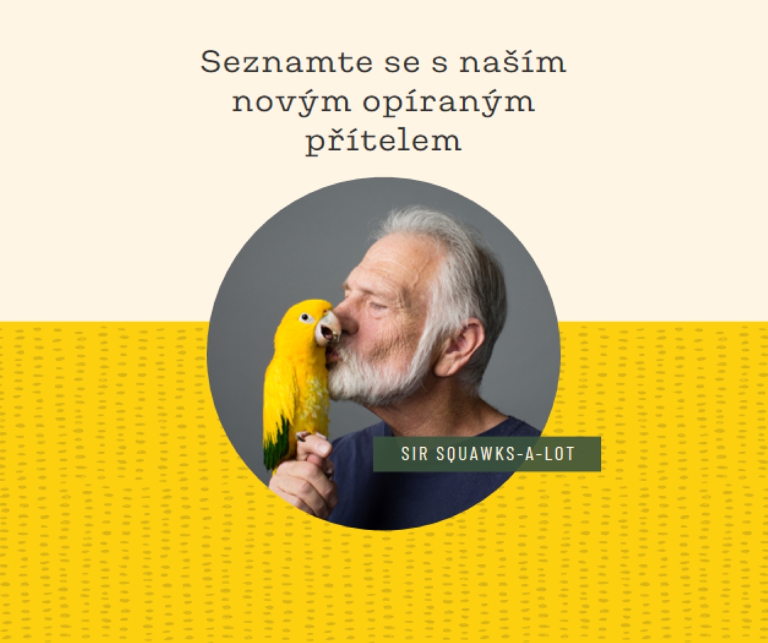 Pták v ruce yellow organic-simple