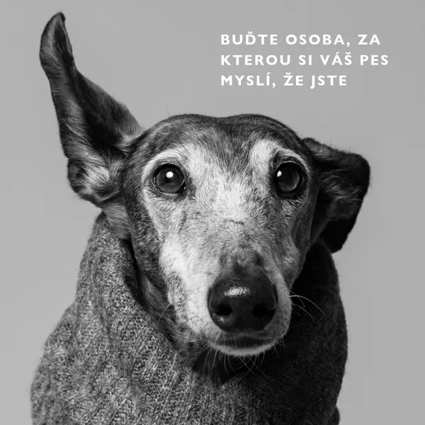 Dětská láska gray modern-simple