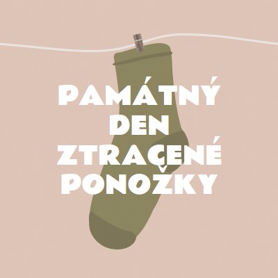 Památný den ztracené ponožky brown whimsical-color-block