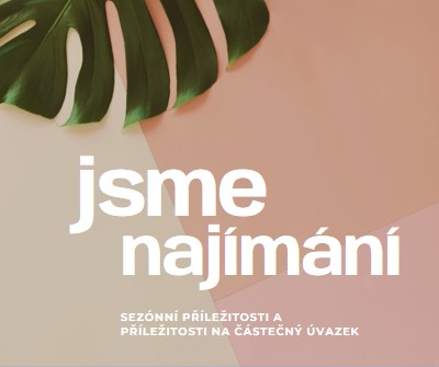 Najímáme sezónní pracovníky. pink modern-simple