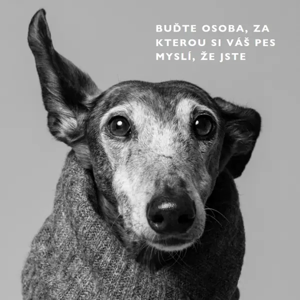 Dětská láska gray modern-simple