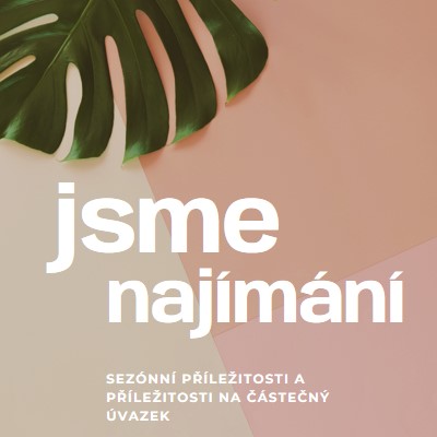 Najímáme sezónní pracovníky. pink modern-simple