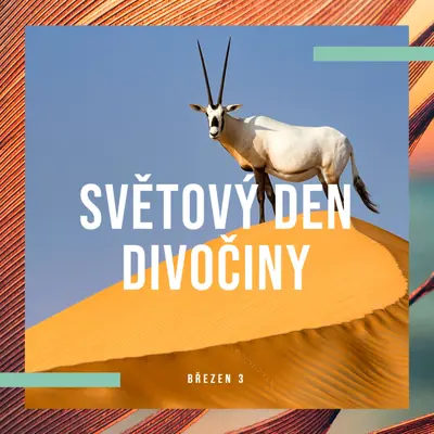 Oslava divočiny orange modern-bold
