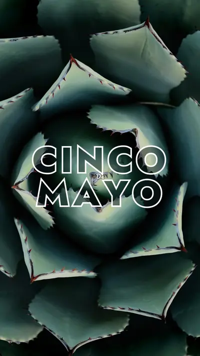 Oslavte Cinco de Mayo green modern-bold