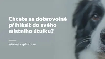 Dobrovolnice a přineste jásot blue modern-simple