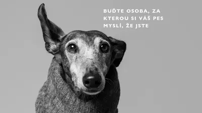 Dětská láska gray modern-simple